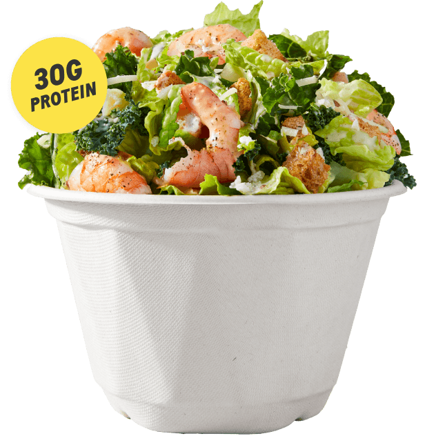 Shrimp Caesar Salad