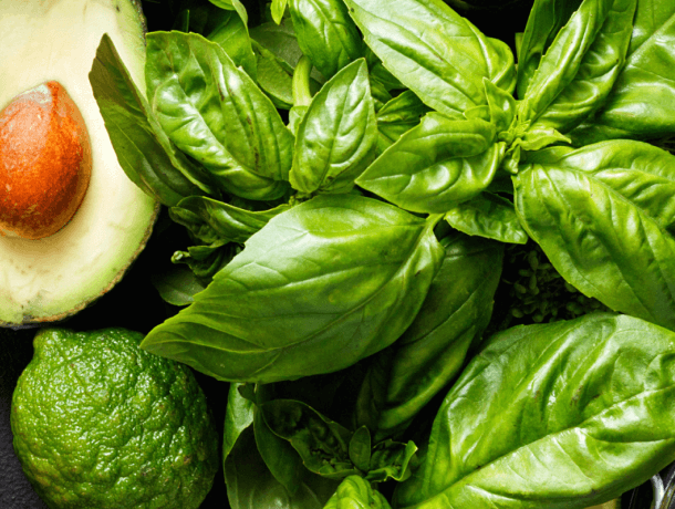 Sustainably sourced salad ingredients